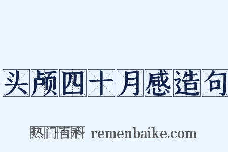 头颅四十月感造句是什么意思的图片